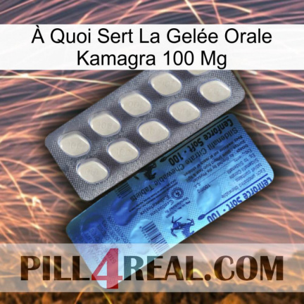 À Quoi Sert La Gelée Orale Kamagra 100 Mg 34